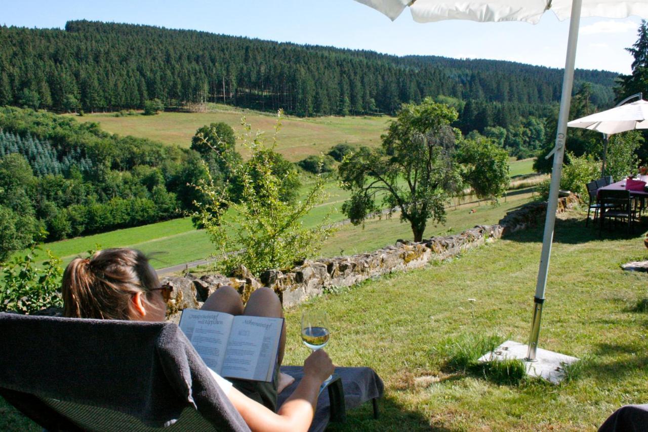 Eifel Rebeige Gerolstein Kopp