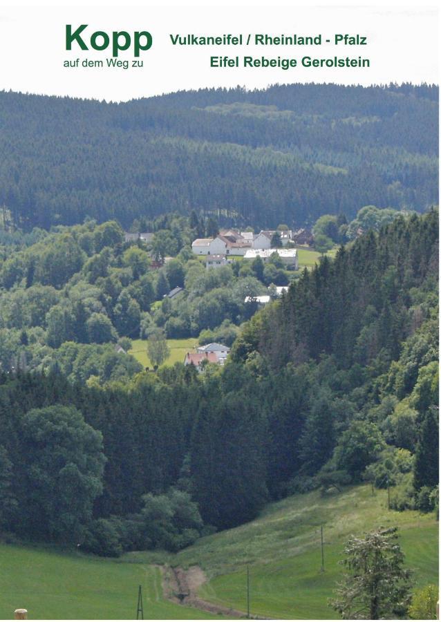 Eifel Rebeige Gerolstein Apartment