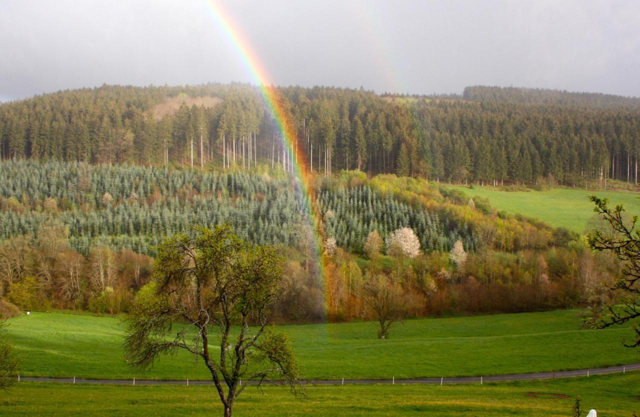 Eifel Rebeige Gerolstein Kopp